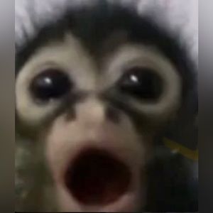 Meet your Posher, Adrienne